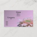 Recherche de marguerite rose de gerbera cartes visite Nature