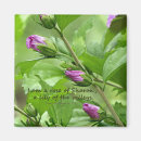 Suche nach lied magnete Schrift