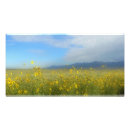 Recherche de fleurs de montagne posters Parc national