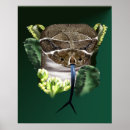 Recherche de serpent posters Reptiles