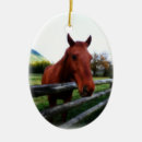Suche nach zaun ornamente Foto