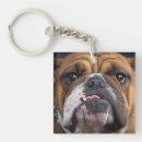 Suche nach bulldog schlüsselanhänger Tiere