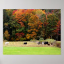 Recherche de vaches art Pour elle