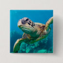 Recherche de nageant badges Plage