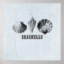 Suche nach vintage muscheln poster Ozean