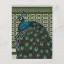 Recherche de paons cartes postales Animaux