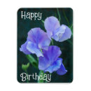 Suche nach erbsen magnete Süß