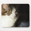 Suche nach braune katze mousepads Haustier