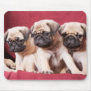 Recherche de triple tapis souris Mignon