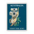 Suche nach cute koala poster Zoo