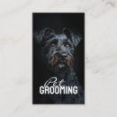 Recherche de de terrier cartes visite Marcheur de chiens