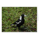 Suche nach magpie Weiß