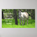 Suche nach auf dem esel poster Pferd