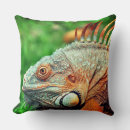 Recherche de iguane coussins Reptile
