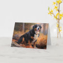 Suche nach berner karten Haustier