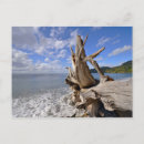Recherche de rivages cartes postales Côte