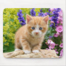 Suche nach lustiges katzen foto mousepads Niedlich