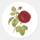 Suche nach viktorianische rote rosen aufkleber Vintag
