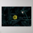 Suche nach indigen poster Afrikanisch