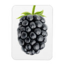 Recherche de blackberry magnets Mûre