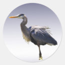 Suche nach heron aufkleber Großartig