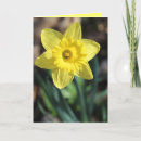 Recherche de ampoules vœux cartes Nature