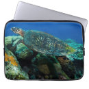 Suche nach schildkröten laptop schutzhüllen Tropisch