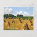 Recherche de foin cartes postales Champ