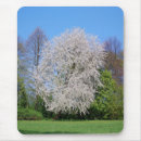 Suche nach kirschbaum mousepads Blühend