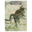 Suche nach wasser klemmbrett Amphibie