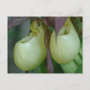 Recherche de glissière posters Floral
