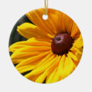 Recherche de susan ornements Floral