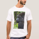 Recherche de visage de gorille Mâle