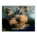 Suche nach yorkshire terrier kalender Hundekalender