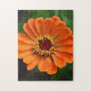 Suche nach orange blume puzzle Fotografie