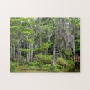 Recherche de marécage puzzles Marais