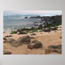 Suche nach meeresschildkröten hawaii poster Tropisch