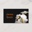 Recherche de orchidées blanches cartes visite Fleuriste