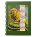 Recherche de primates carnets Faune