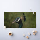 Suche nach schwarze federn mousepads Pfau