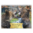 Suche nach des wilden tieres kalender Jäger