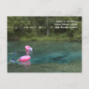 Recherche de natation et plongée cartes postales Plongée avec tuba