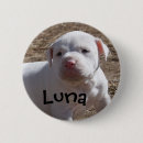 Recherche de abandonné badges Abri