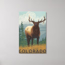 Suche nach elch leinwandbilder Colorado