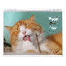 Suche nach lustige katzen kalender Niedlich