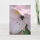 Suche nach rosa rhododendron postkarten Blüte