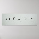 Suche nach vogel im flug poster Himmel