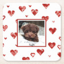 Suche nach welpen bandana Herz