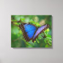 Recherche de châssis posters Nature