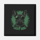 Suche nach st patty magnete Kobold